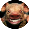 Jarom