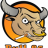 Bull_85