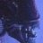 mrdark