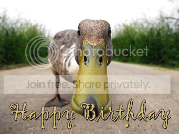 funny-duck_happy-birthday.jpg