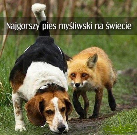 UAvWFNL.jpg