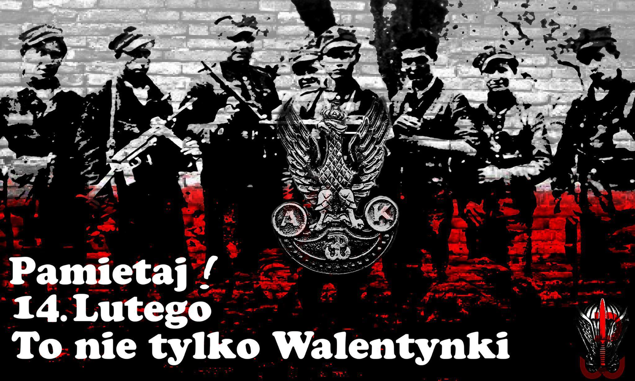 A084arY.jpg