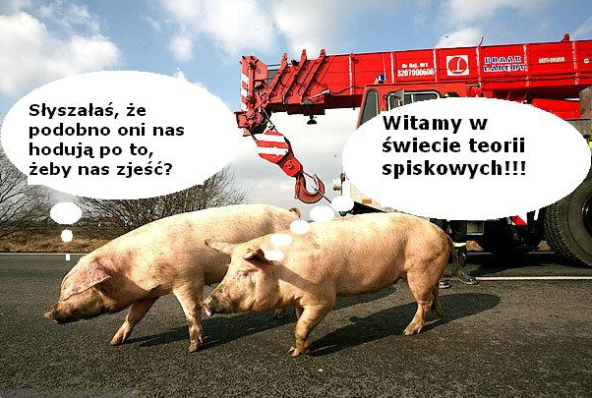 p8FKQtL.jpg