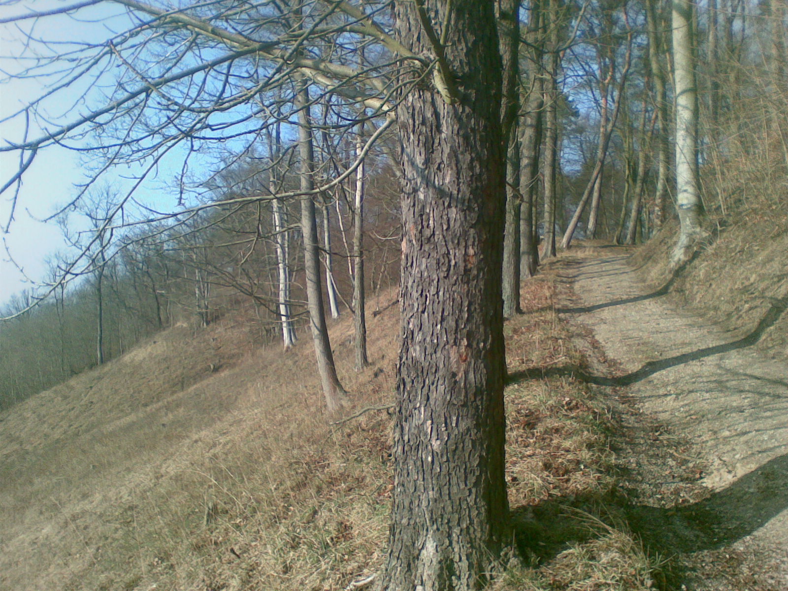 UMvJOm0.jpg