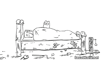 WLt6hOT.gif