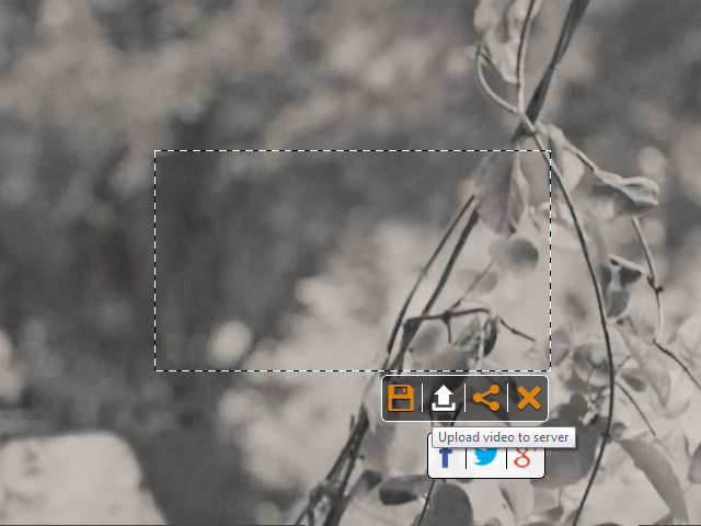 Screen%2009.png