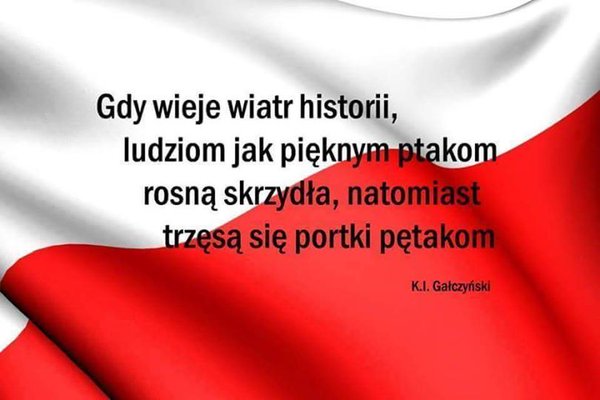 8jlEEsd.jpg