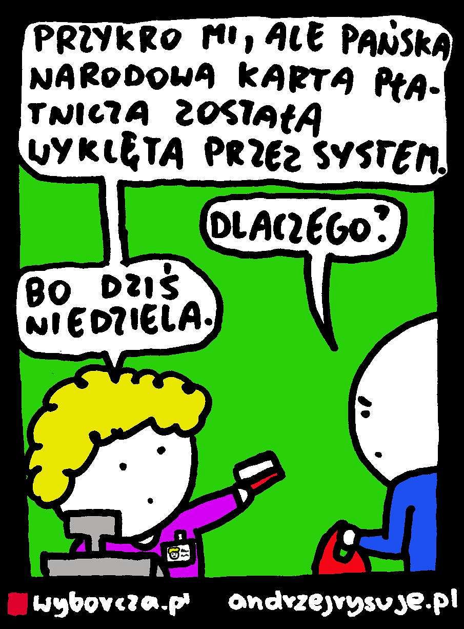 z20919471V,Andrzej-Rysuje---Narodowa-Karta-Platnicza.jpg