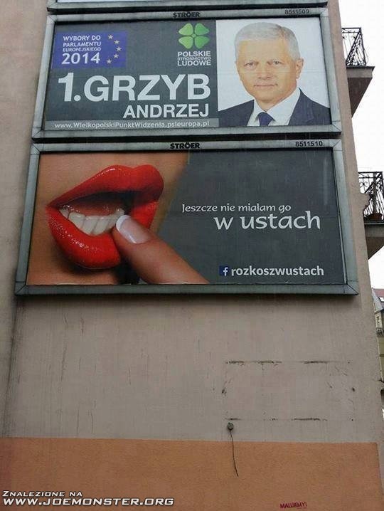 03trollowanie_na_billboardach.jpg