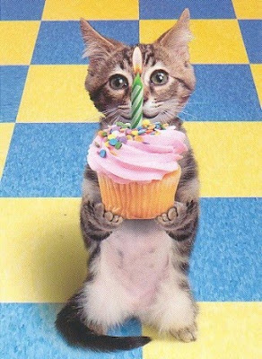 funny-birthday-7.jpg