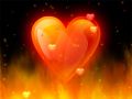 love120.jpg