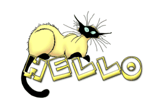 graphics-hello-059147.gif