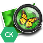 focus-ck.png