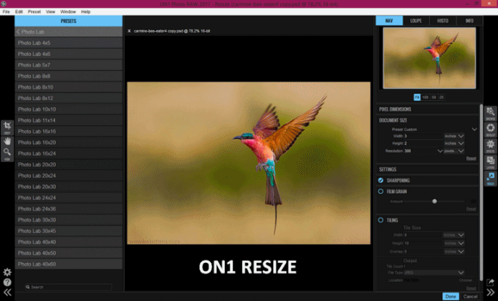 RZS3QnX.gif
