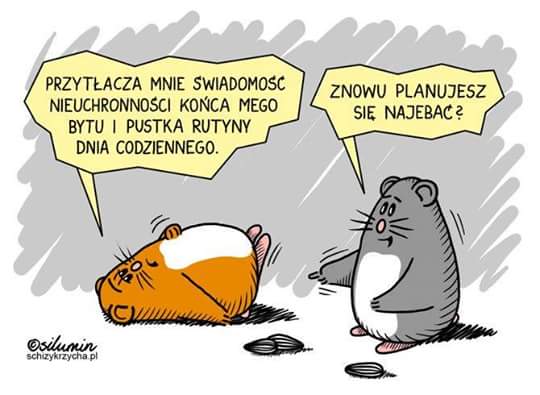 15522948fe8ef33planujesz_sie_najeba.jpg