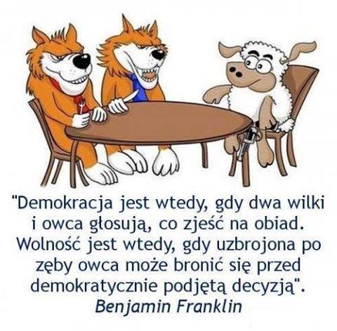 15390108970d7e6Demokracja_a_wolnosc.jpg