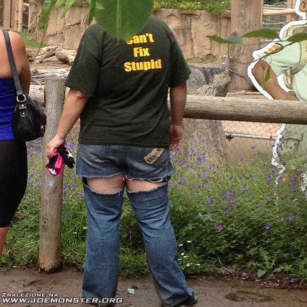 glupoty_nie_naprawisz.jpg